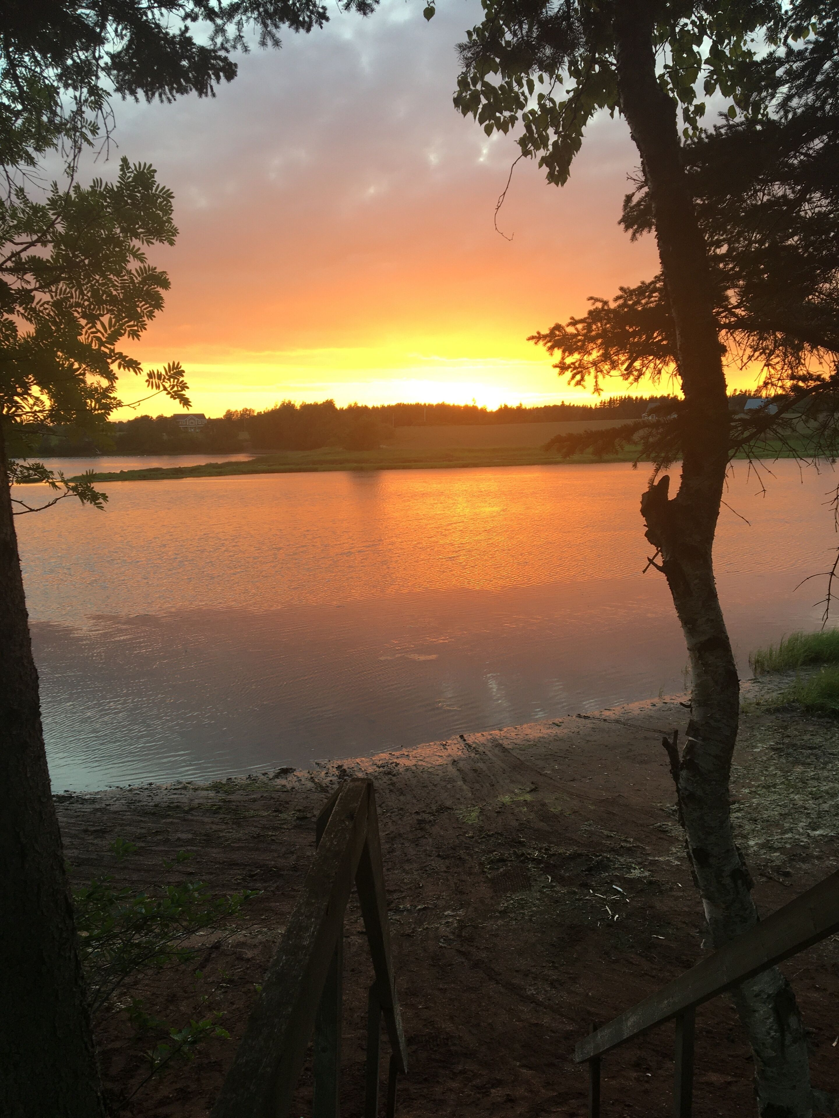 Nær stranden, solsenger og strandhåndklær