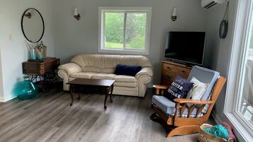 Smart TV, books, video library