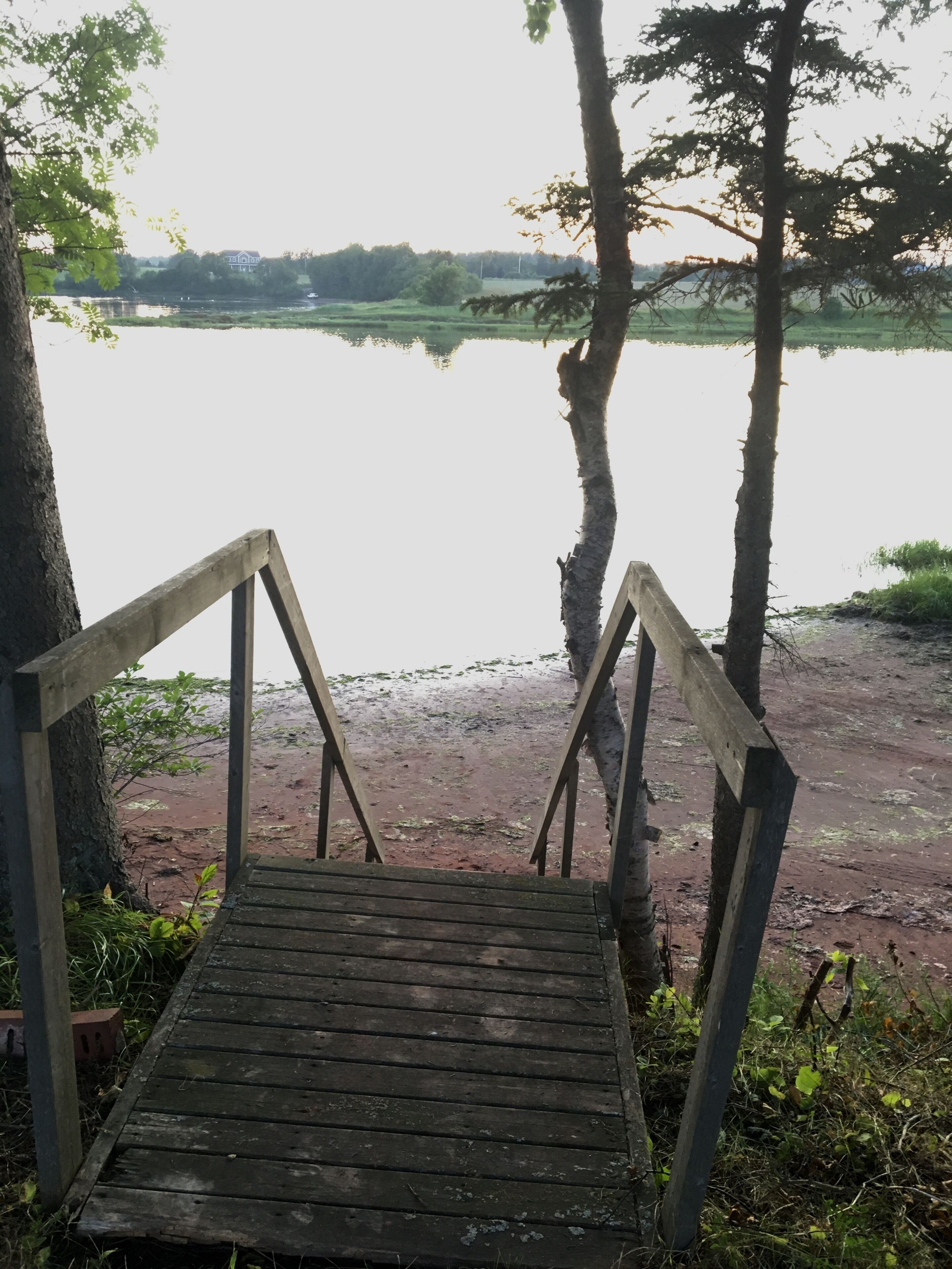 A wooden dock leading to a calm lake surrounded by trees.