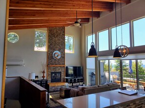 Smart TV, fireplace, books, computer monitors