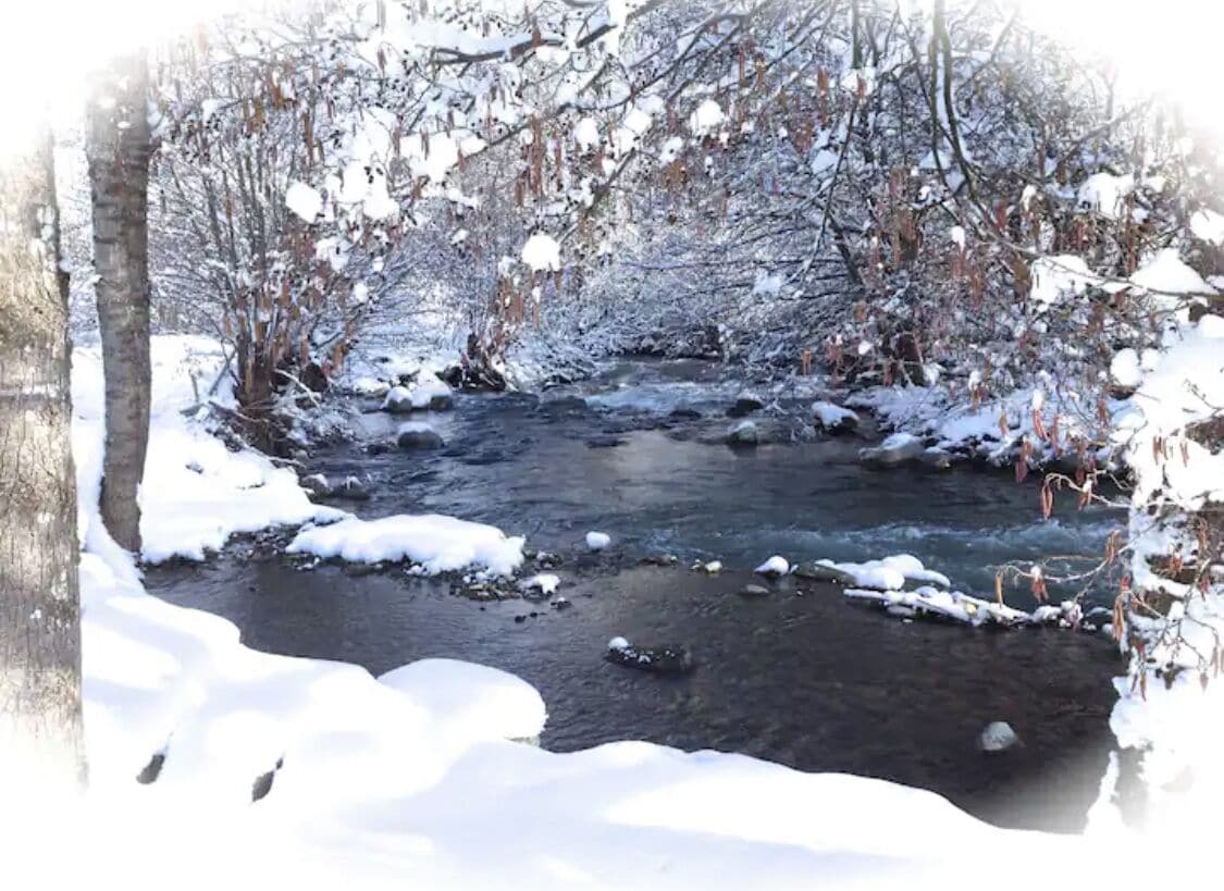 A snow-covered stream with bare trees and rocks.