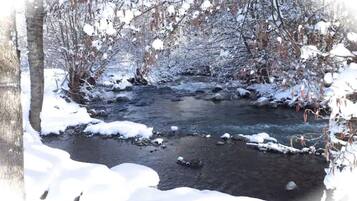 A snow-covered stream with bare trees and rocks.