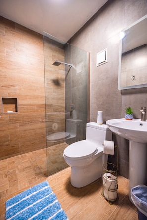 Shower, hair dryer, towels, toilet paper