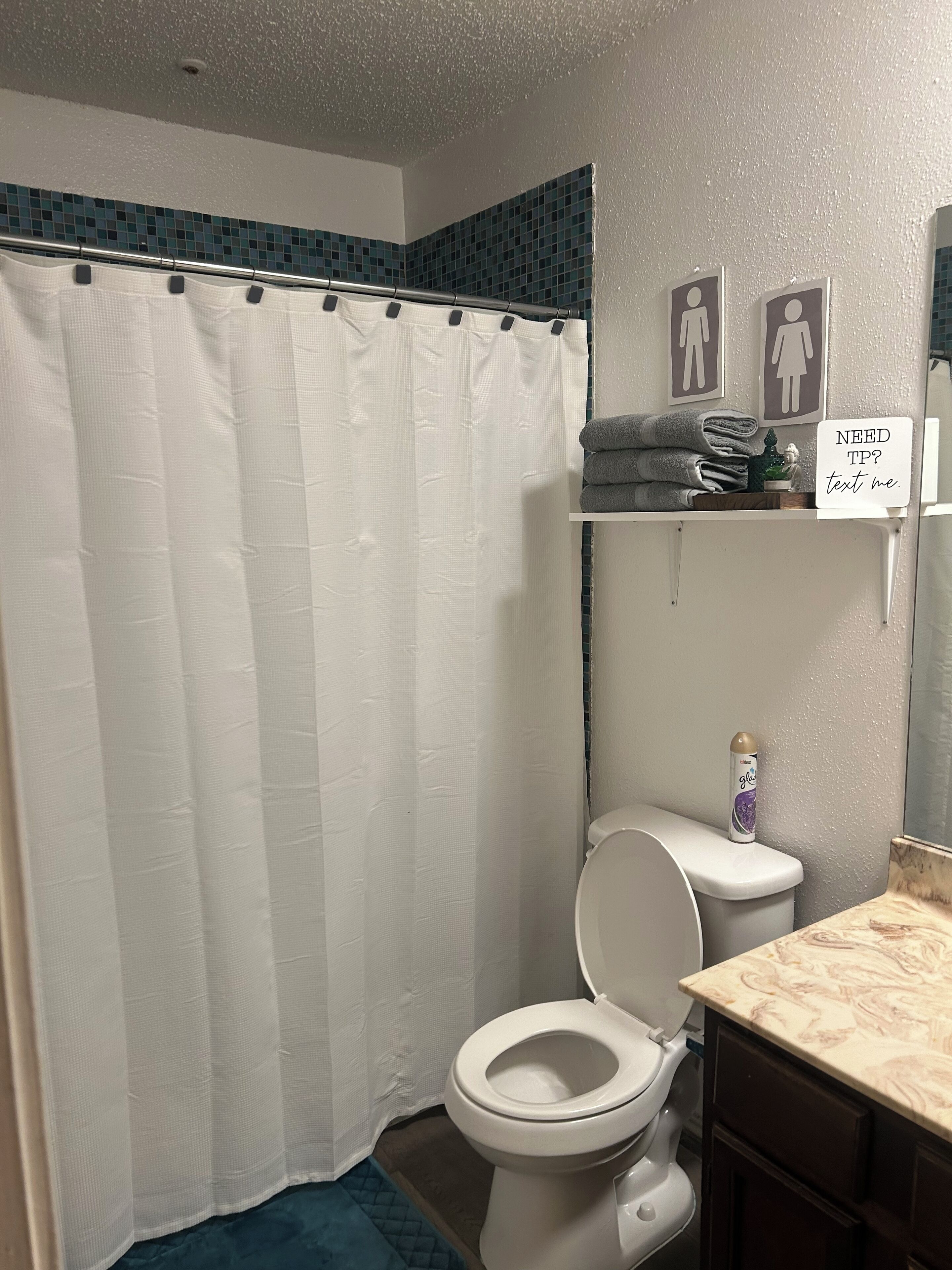 Bathtub, towels, soap, shampoo
