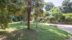 Um jardim exuberante com palmeiras, um caminho de cascalho e um muro de pedra.