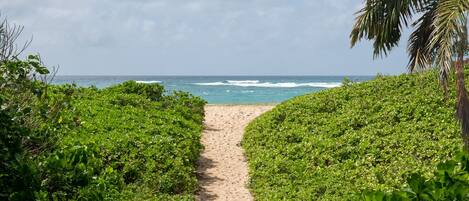 Beach nearby, beach towels