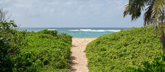 Secluded Sands ~ 7BR 4BA Private Beach Access, A/C
