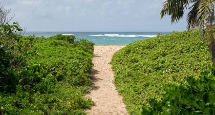 Secluded Sands ~ 7BR 4BA Private Beach Access, A/C