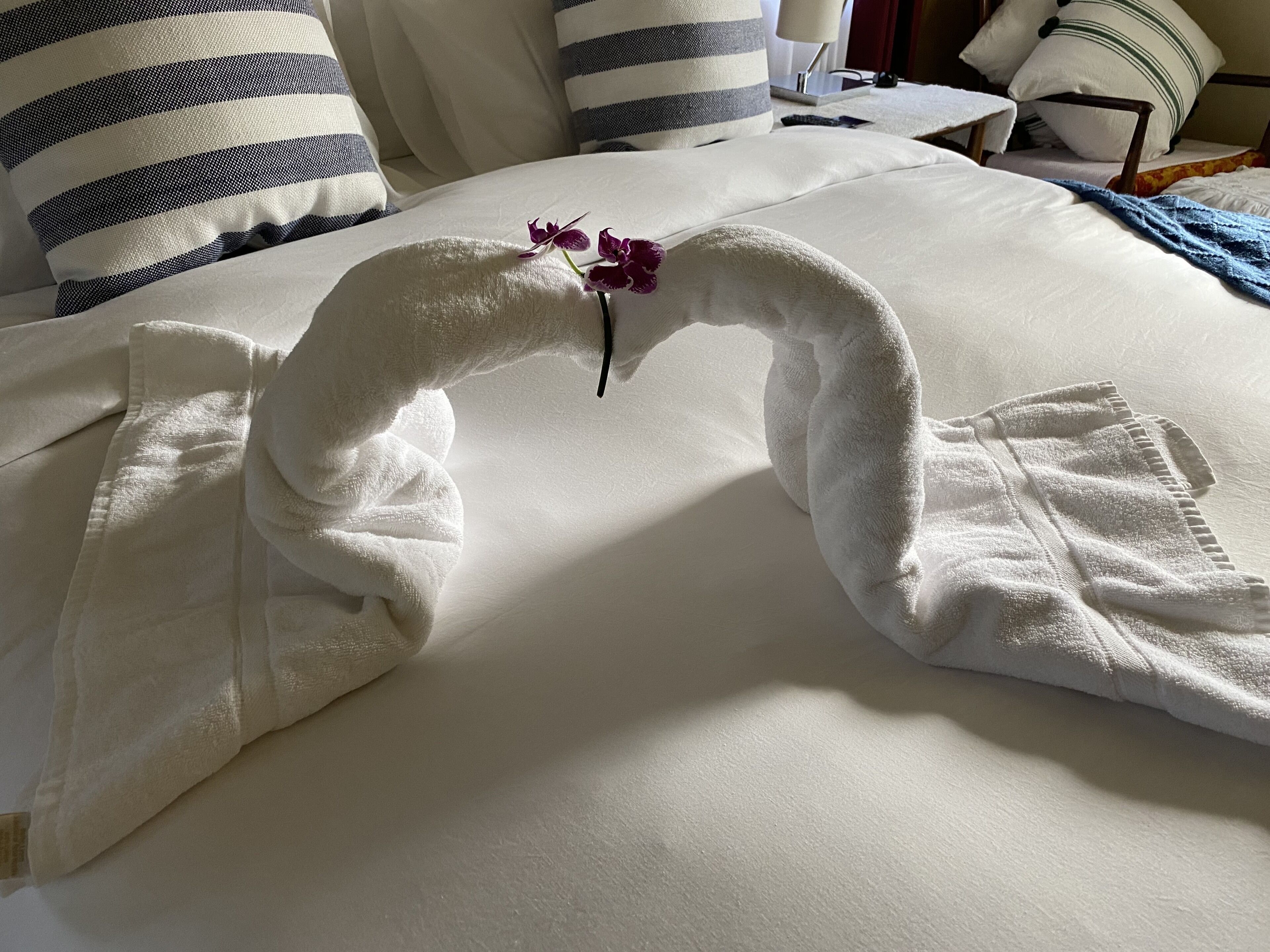 Private Suite in Beautiful Villa-Like Shared Home<br><br>   