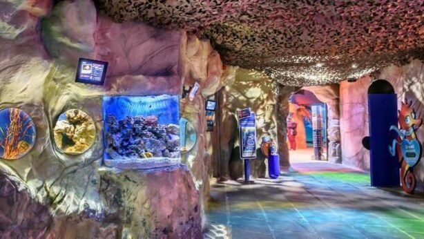 An indoor aquarium with various fish tanks and informational displays. - Bel Reve Hotel (Blackpool)