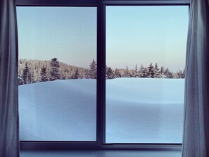 Interior - Big Bear Chalet, modern home on Mount Washington (Quathiaski Cove)