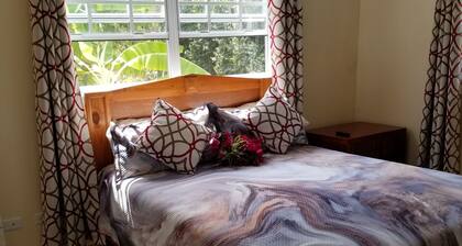 Beautiful spacious One Bedroom Unit