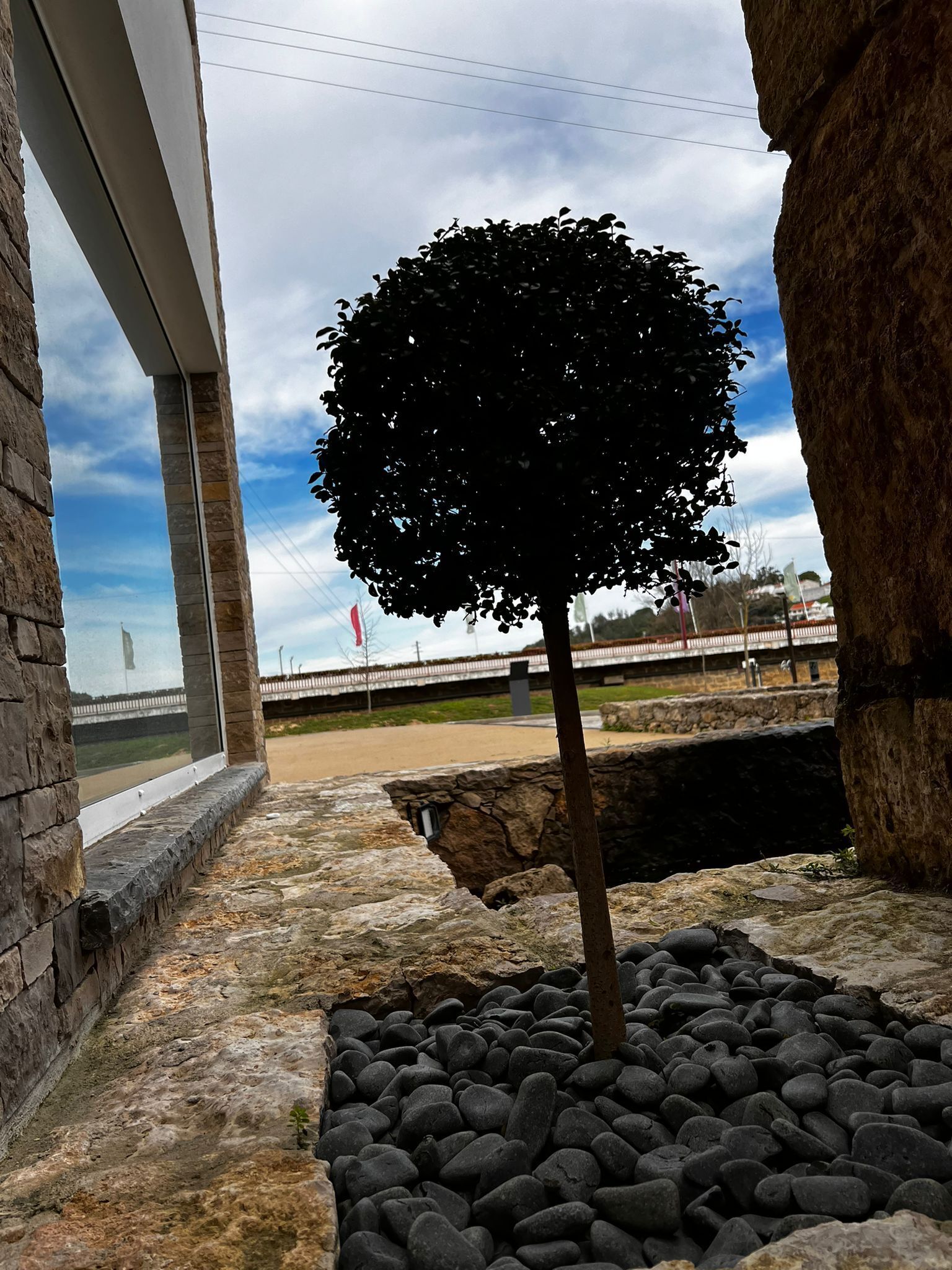 A stone pathway leading to a small tree in a landscaped area with a view of a bridge and a fence in the background.