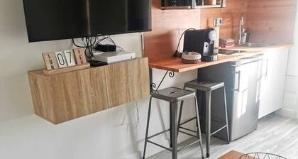 Superbe 2 piÚces entre Paris et Orly, jardin privé