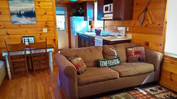 Smart TV, chimenea, reproductor de DVD, libros