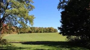 A grassy field with trees in the background. - Cozy Log Cabin at Warrior Ethos Farm (Cooperstown)