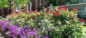 Historic Home in Old Louisville with deck and courtyard