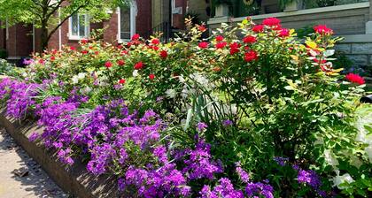 Historic Home in Old Louisville with deck and courtyard