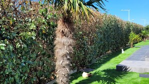 A well-maintained garden with a palm tree, neatly trimmed hedges, and a paved walkway. - Villa "Le Paradis Bleu" Heated pool and beach 200 m'away (Saint-Gilles-Croix-de-Vie)