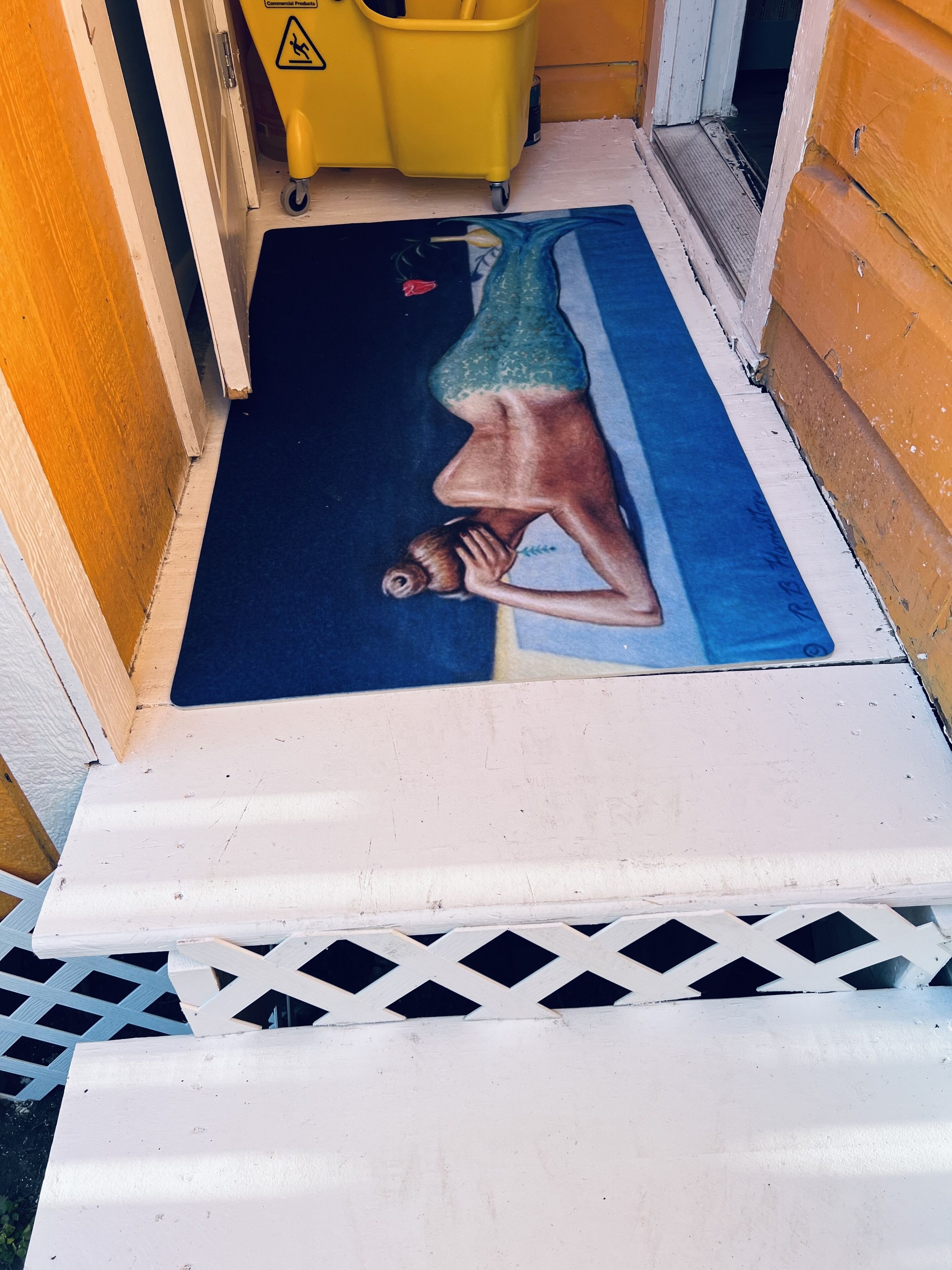 A doorway with a blue mat and a white handrail.
