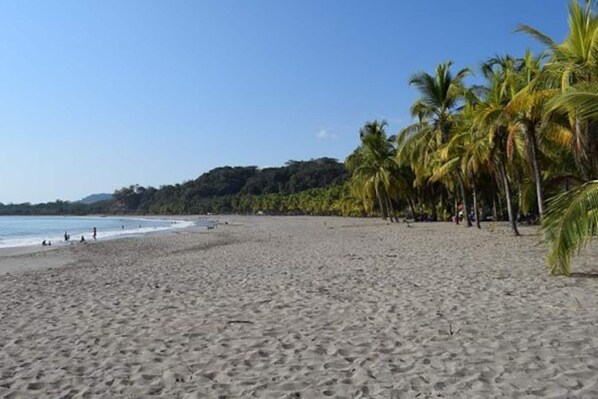 A wide sandy beach with palm trees and a clear blue sky.