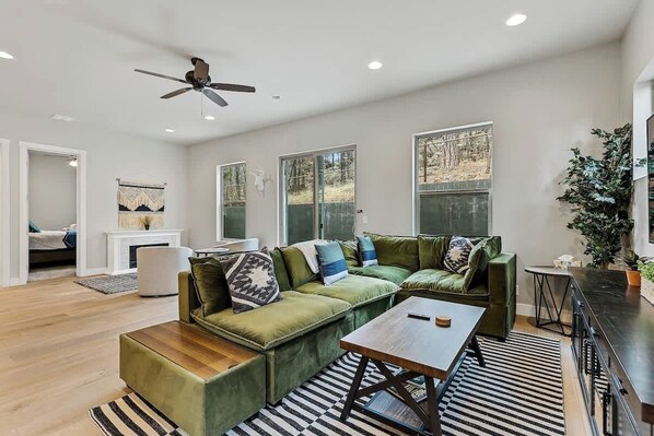 TV, fireplace, offices