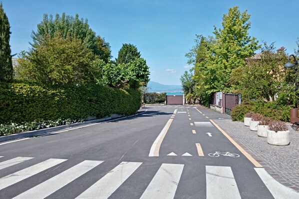 A road with a bicycle lane, pedestrian crossing, and greenery on both sides.