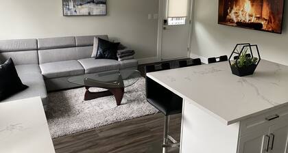 Quiet Bright Luxurious & Clean Private Modern Suite with free Parking & A/C