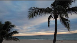 A beach with palm trees and a calm sea under a cloudy sky. - Entire home with pool for long and short stay. Fun for everyone.  (Port St. Lucie)