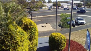 A parking lot with several cars, a small tree, and a building in the background.