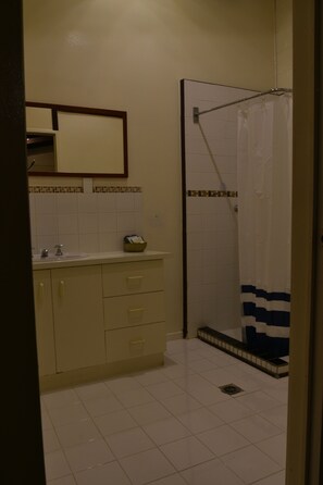 Shower, towels, soap, shampoo - Best in Middlemount!  Spacious 2 Bed Studio Apartment w Restaurant. (Middlemount)