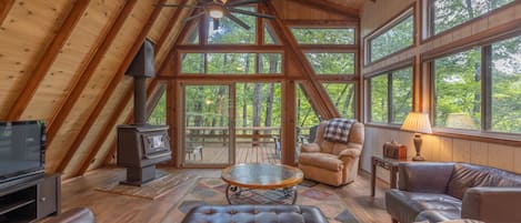 Televisor, llar de foc, videojocs i llibres