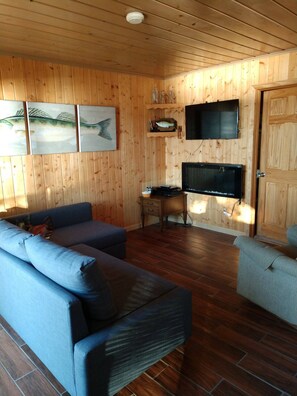 Smart TV, DVD player, video library