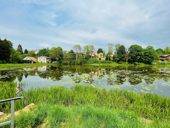 Image sans description, 1 de 27, bouton