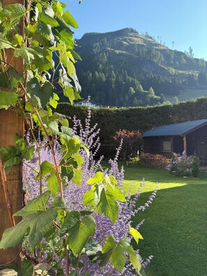 Een tuin met een houten hek, paarse bloemen en een huis met een blauw dak.