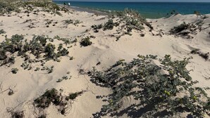 En sandstrand med gles vegetation och en klarblå himmel.