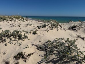På stranden og strandhåndklær