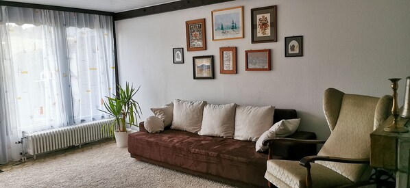 Télévision, cheminée, lecteur de DVD, livres