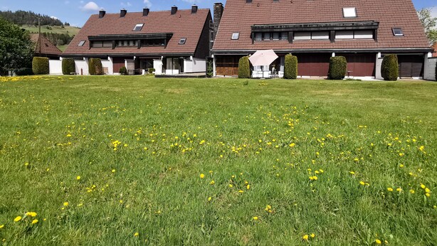 A two-story house with a sloped roof, a front lawn with dandelions, and a clear blue sky. - Cozy terraced vacation home with wood-burning fireplace (Bernau im Schwarzwald)