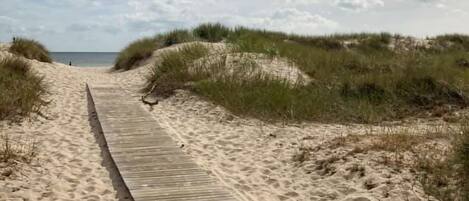 In Strandnähe, Angeln