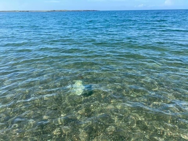 A clear view of a beach with shallow water revealing the sandy bottom. - Cosy Annexe Sleeps 4 (Holyhead)