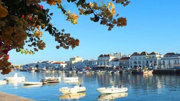 A waterfront marina with several boats docked, a clear blue sky, and buildings in the background.