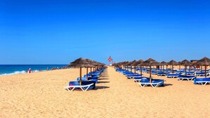 Ein Strand mit Reihen blauer Liegestühle und Reetdachschirmen.