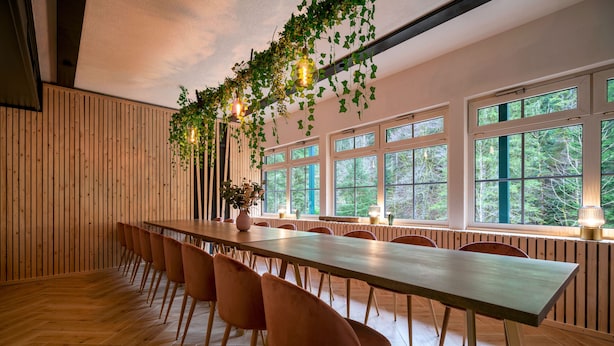 Une longue table à manger entourée de chaises, des murs en bois, de grandes fenêtres et des plantes suspendues.