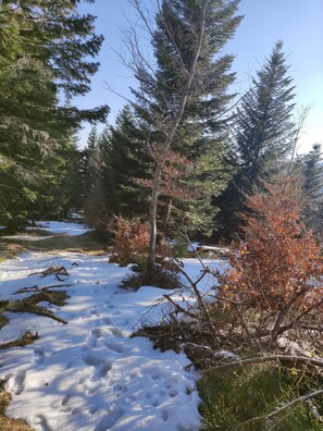 Terrain de lâhĂ©bergement