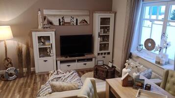 Televisor, reproductor de DVD, llibres i biblioteca musical