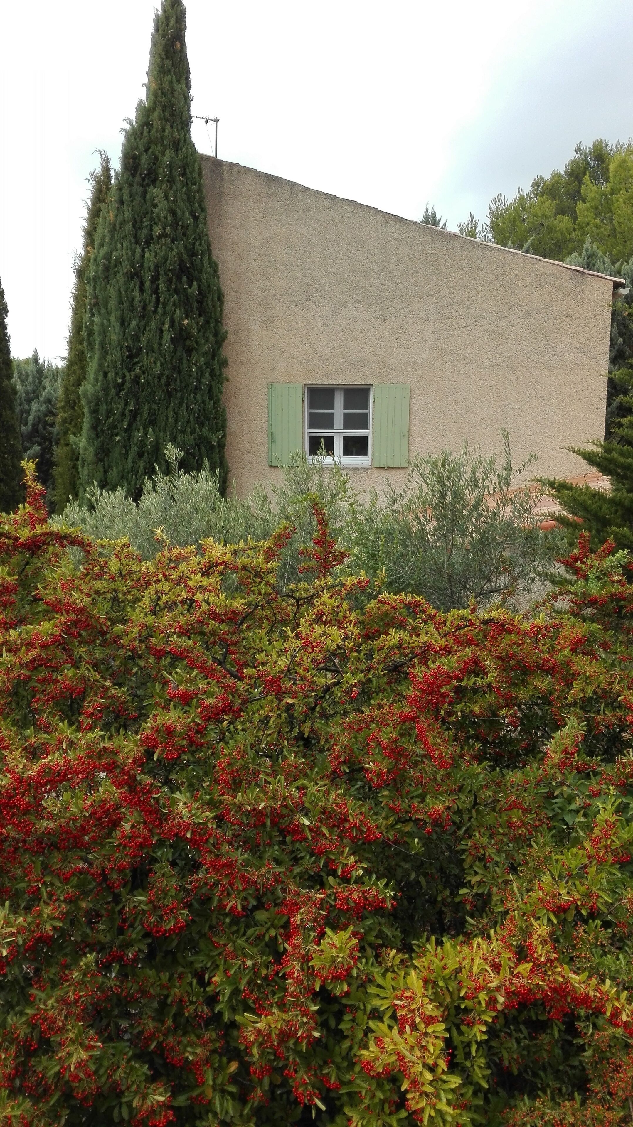 Overnattingsstedets uteområder