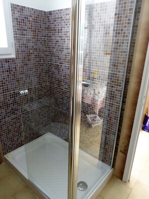 Shower, hair dryer, towels, toilet paper