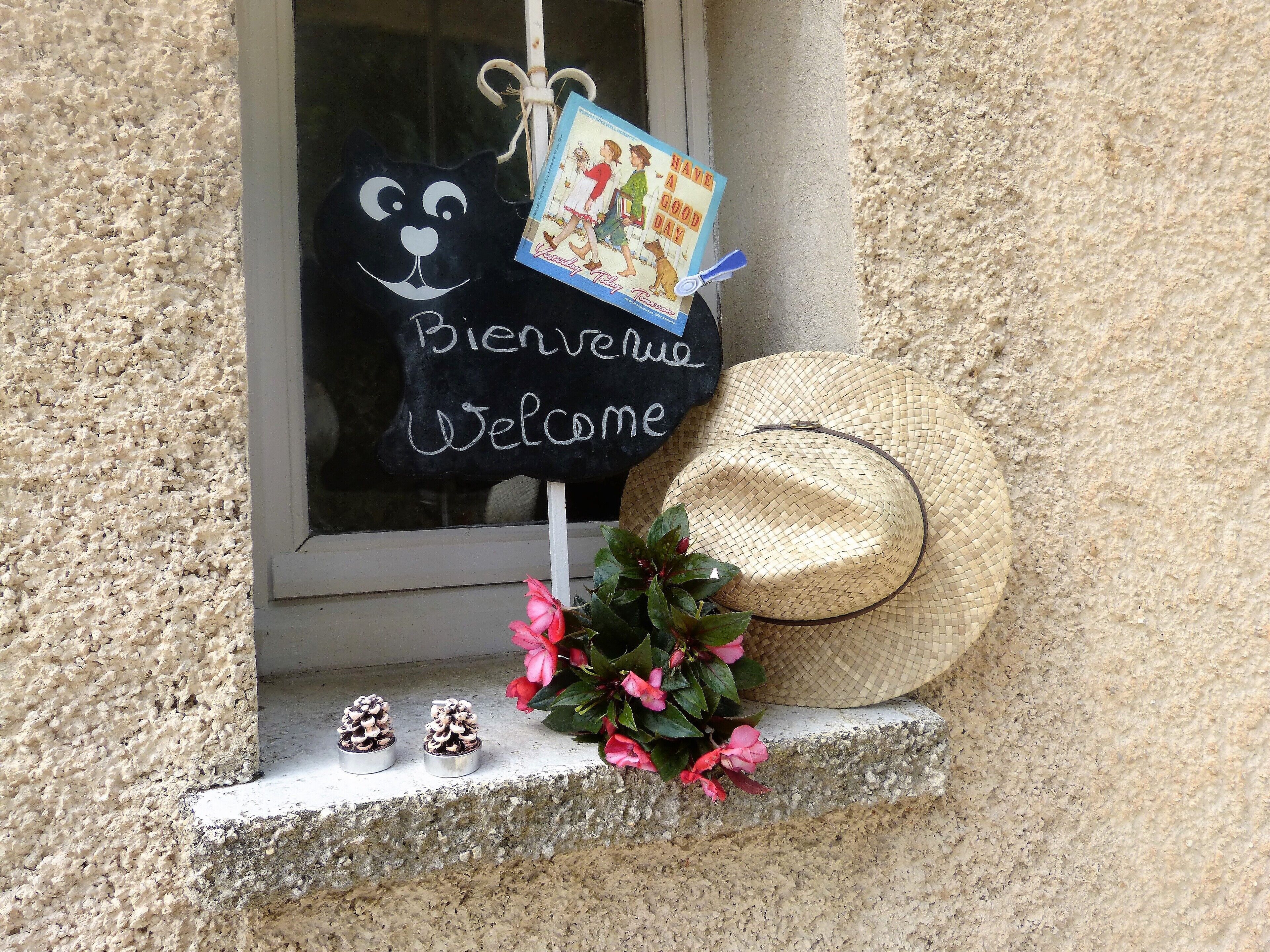 A window display with a black cat-shaped sign, a 'Welcome' sign, a straw hat, and small potted plants.