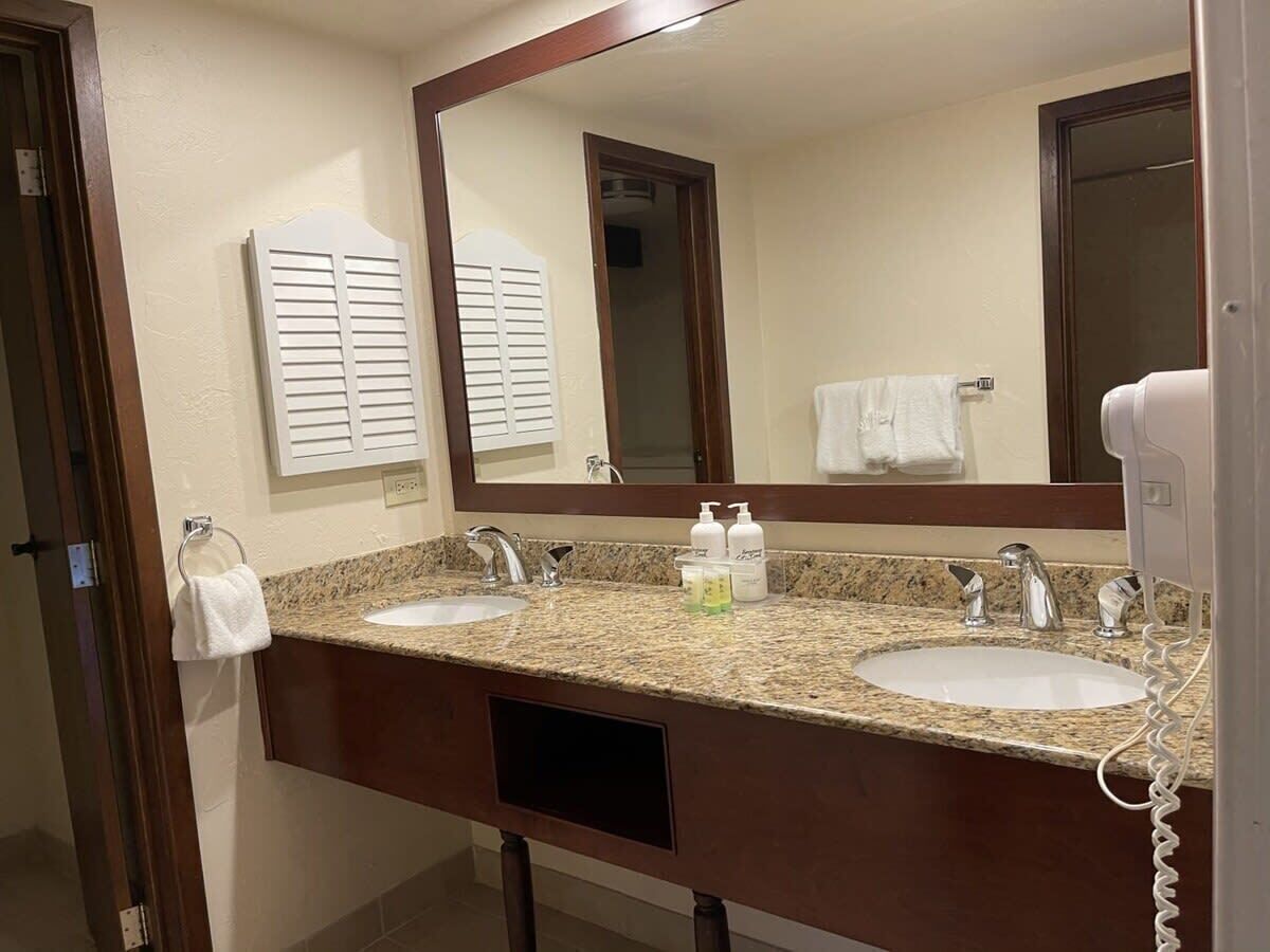 浴槽、ヘアドライヤー、タオル、シャンプー